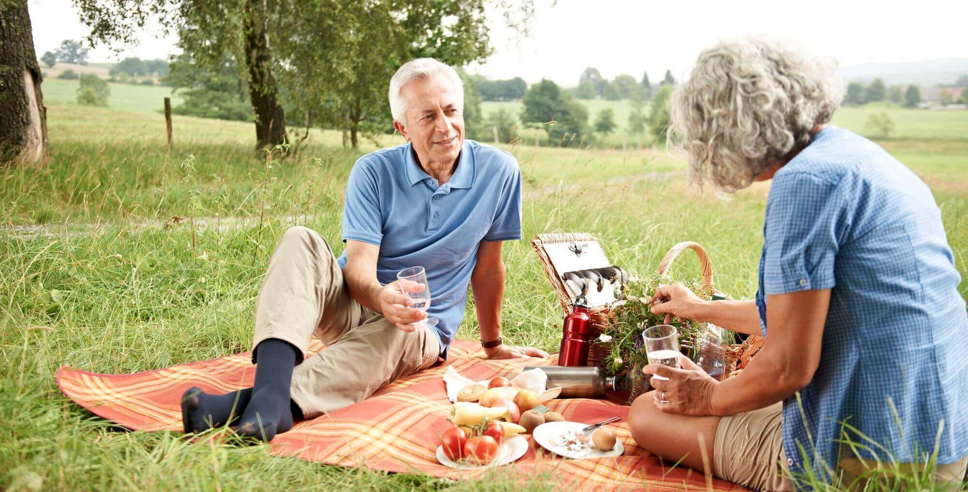 Ein älteres Ehepaar sitzt auf einer Picknickdecke auf einer Feldwiese. Auf der Decke sind ebenfalls Lebensmittel, Getränke und ein Picknickkorb.